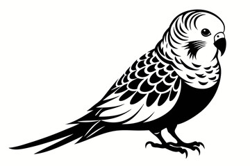 budgerigar silhouette line art vector illustration