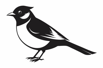 bulbul silhouette line art vector illustration