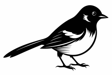 bulbul silhouette line art vector illustration
