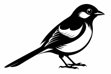 bulbul silhouette line art vector illustration