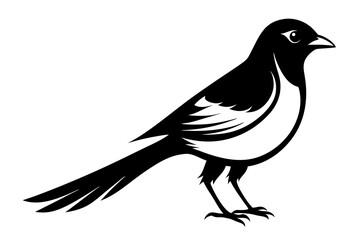bulbul silhouette line art vector illustration