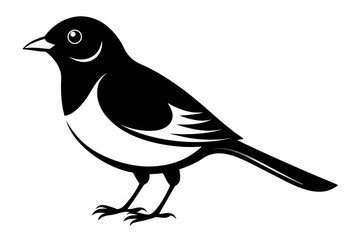 bulbul silhouette line art vector illustration