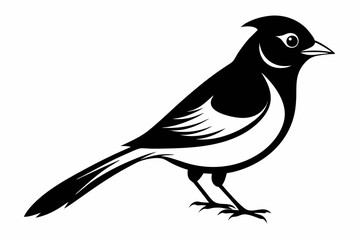 Fototapeta premium bulbul silhouette line art vector illustration
