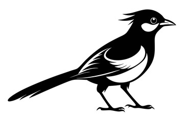 bulbul silhouette line art vector illustration