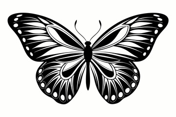 butterfly silhouette line art vector illustration