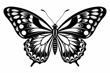 butterfly silhouette line art vector illustration
