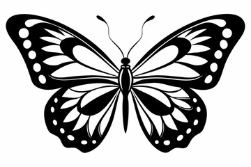 butterfly silhouette line art vector illustration