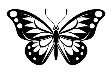 butterfly silhouette line art vector illustration
