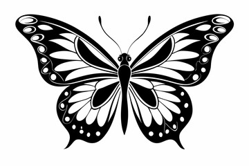 butterfly silhouette line art vector illustration