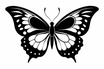 butterfly silhouette line art vector illustration