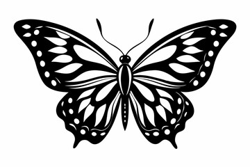 butterfly silhouette line art vector illustration
