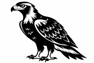 buzzard silhouette line art vector illustration
