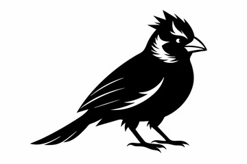 cardinal silhouette line art vector illustration