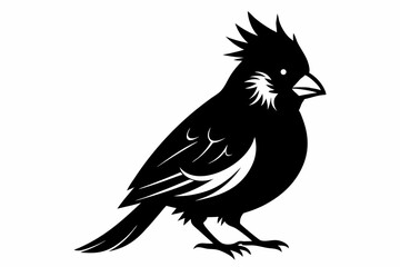 cardinal silhouette line art vector illustration
