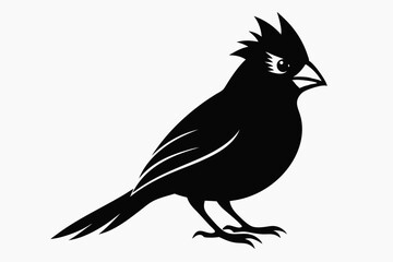 cardinal silhouette line art vector illustration