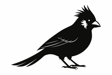 cardinal silhouette line art vector illustration