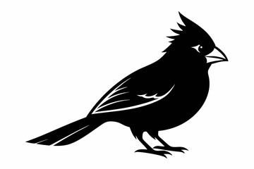 cardinal silhouette line art vector illustration