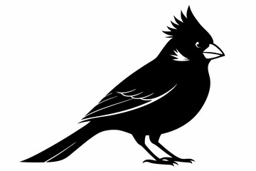 cardinal silhouette line art vector illustration