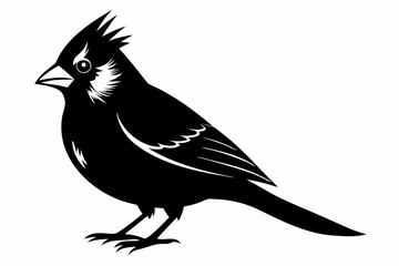 cardinal silhouette line art vector illustration
