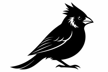 cardinal silhouette line art vector illustration