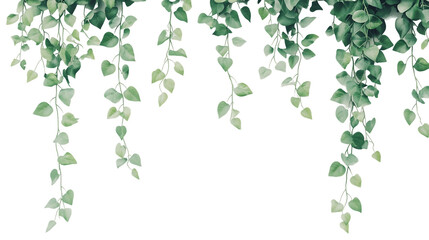 Watercolor Green Leaves Hanging on Transparent Background, PNG