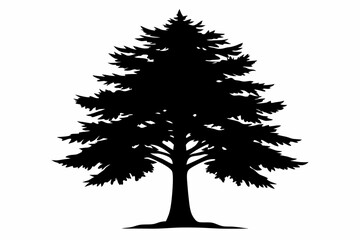 cedar tree silhouette line art vector illustration
