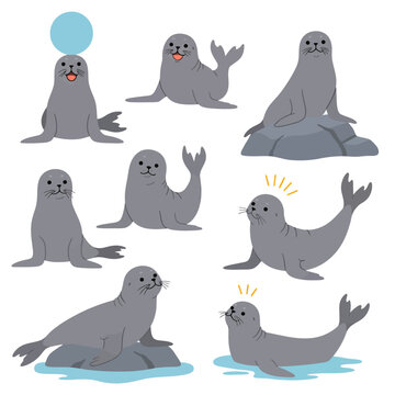 Cute Seals Vector Illustration.