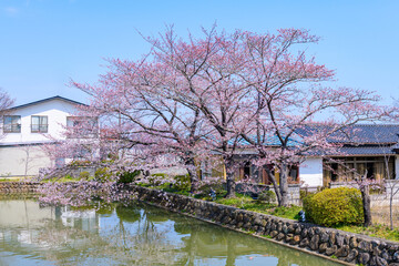福島県相馬市の涼ケ岡（すずみがおか）八幡神社と桜
