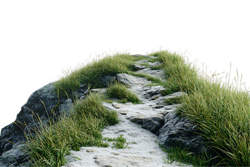 Winding Stone Path Through Lush Green Grass on a Dark Rock Hilltop, PNG