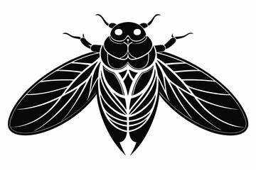 cicada silhouette line art vector illustration