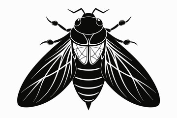 cicada silhouette line art vector illustration
