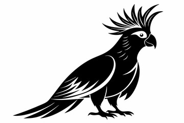 Fototapeta premium cockatoo silhouette line art vector illustration