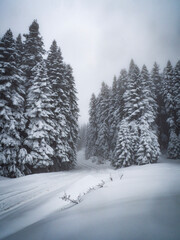 The view of winter on the snowy plateau