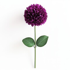 Fototapeta premium Purple ball flower