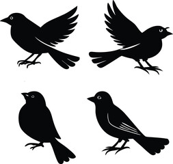 Set of Black birds silhouettes. Vector Elements for Design.