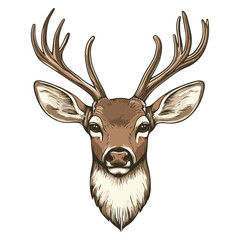 deer, animal, vector, transparent background