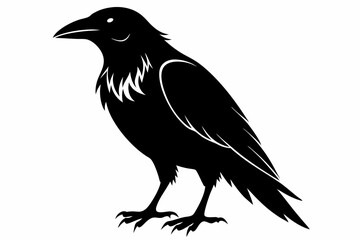 crow silhouette line art vector illustration