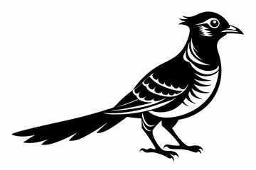 cuckoo silhouette line art vector illustration