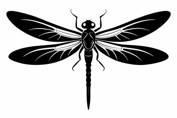 dragonfly silhouette line art vector illustration