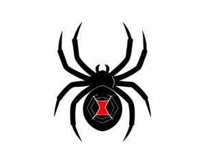 creative details Black Widow Spider Icon Vector Illustration