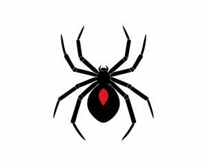 creative details Black Widow Spider Icon Vector Illustration