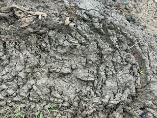 Wet and muddy ground conditions