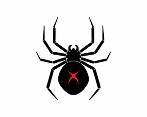 creative details Black Widow Spider Icon Vector Illustration