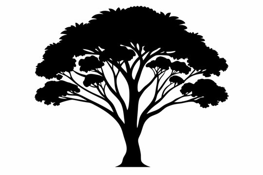 eucalyptus tree silhouette line art vector illustration