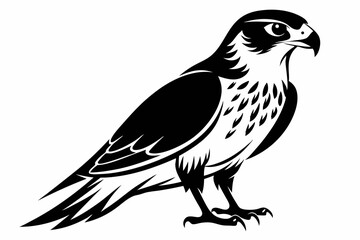 falcon silhouette line art vector illustration