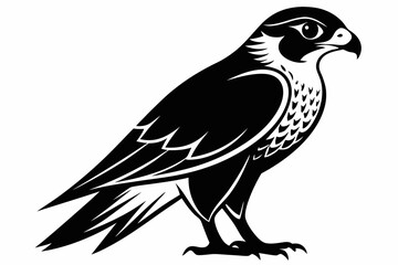 falcon silhouette line art vector illustration