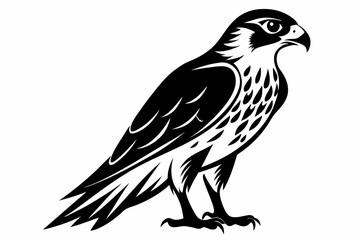 falcon silhouette line art vector illustration