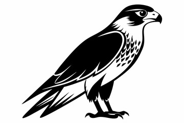 falcon silhouette line art vector illustration