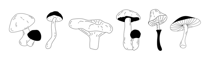 Set of icons with different mushrooms in doodle style. Poisonous and edible mushrooms drawn by hand for design. Stickers of mushrooms on isolated white background