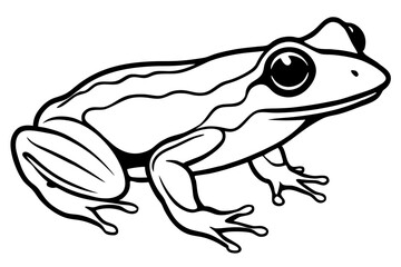 frog silhouette line art vector illustration